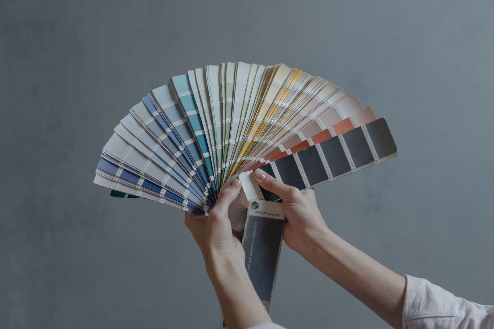 Color palette swatches laid out on a flat surface, showing a range of accent colors